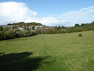 <span class="mw-page-title-main">Ronkswood</span> Suburb of Worcester in Worcestershire, England