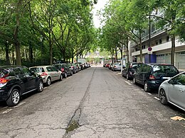 A Rue Jacques-Duchesne cikk illusztráló képe