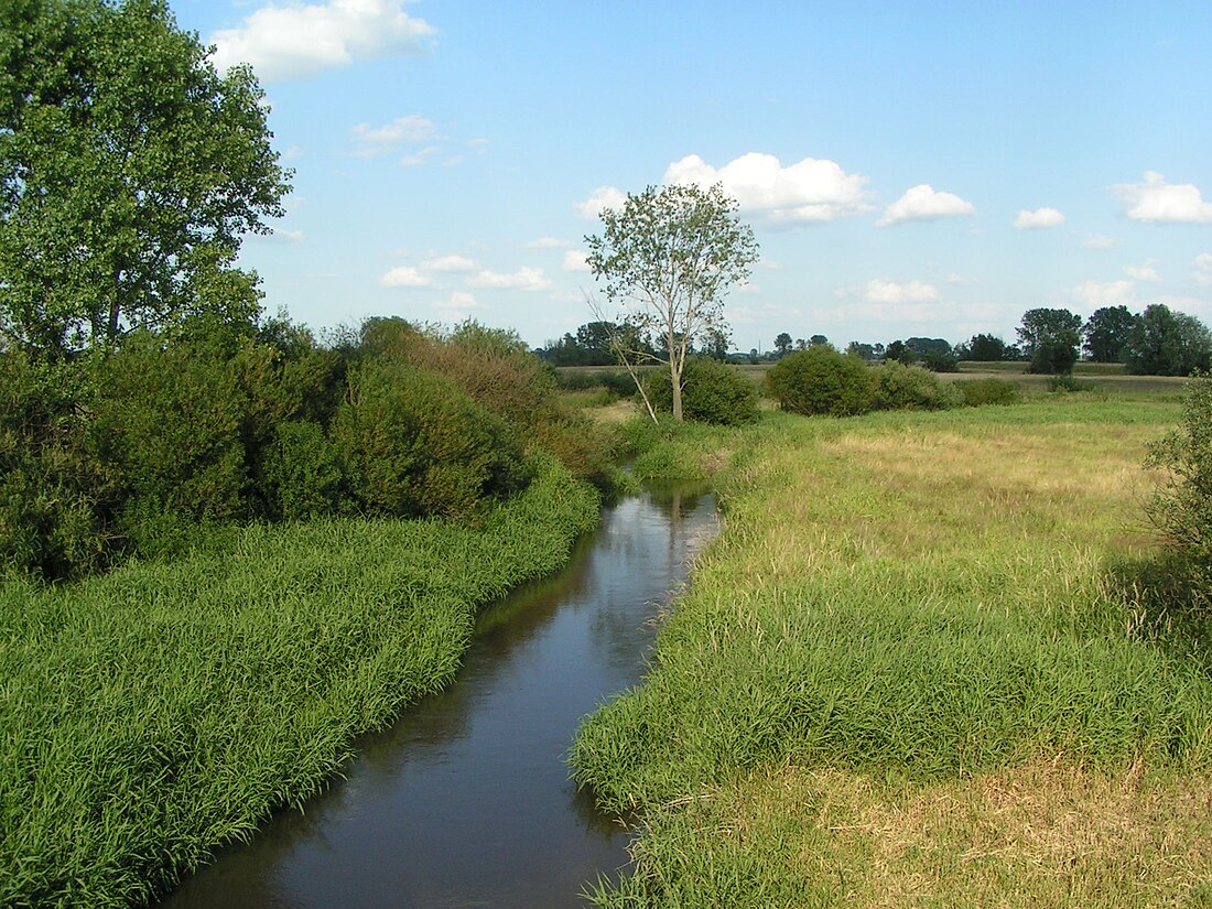 Kiełbaska (dopływ Warty)