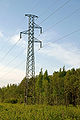 * Nomination Electricity pole near Mäntyluoto harbour. --kallerna 12:26, 16 June 2010 (UTC) * Promotion good to me (no CA !!)--Jebulon 23:38, 17 June 2010 (UTC)