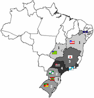 Campeonato Brasileiro Série A - Wikipedia