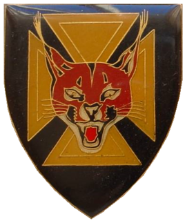 7 South African Infantry Battalion Military unit