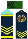 Category:Military rank insignia of Bolivia - Wikimedia Commons