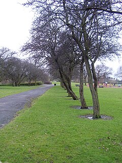 Sandall park.  - geograph.org.uk - 1729364.jpg