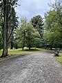 Washington Park Arboretum