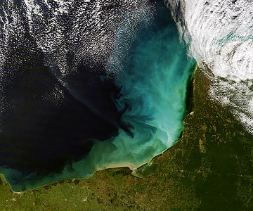 Yucatán Yarımadası'nın kuzeybatı sahili ve Meksika Körfezi açıklarının uydudan görünümü. Renk patlaması sığ sulara denk gelmekte ve taba, yeşil, mavi ve beyaz renkli girdaplar ise hem kara hem de deniz tabanından kaynaklanan çökelmeleri göstermektedir. (Üreten: NASA)