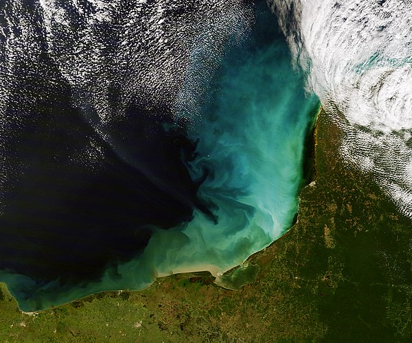 Спутниковая фотография Мексиканского залива у побережья полуострова Юкатан. Бирюзовый цвет вод вызван речными наносами
