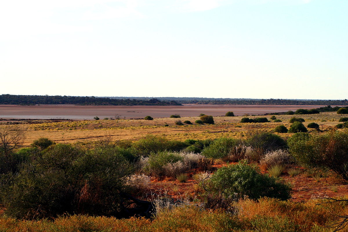 Great Victoria Desert - Wikipedia