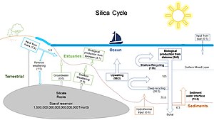Ciclos marino y terrestre del silicio