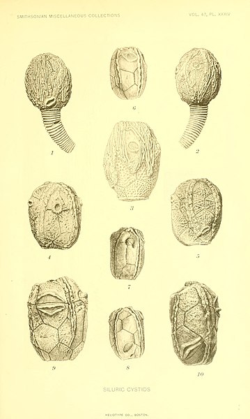 File:Smithsonian miscellaneous collections (14620423801).jpg