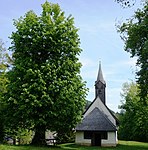 2 summer linden trees near the French Church