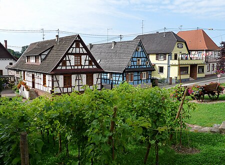 Soufflenheim Vignes