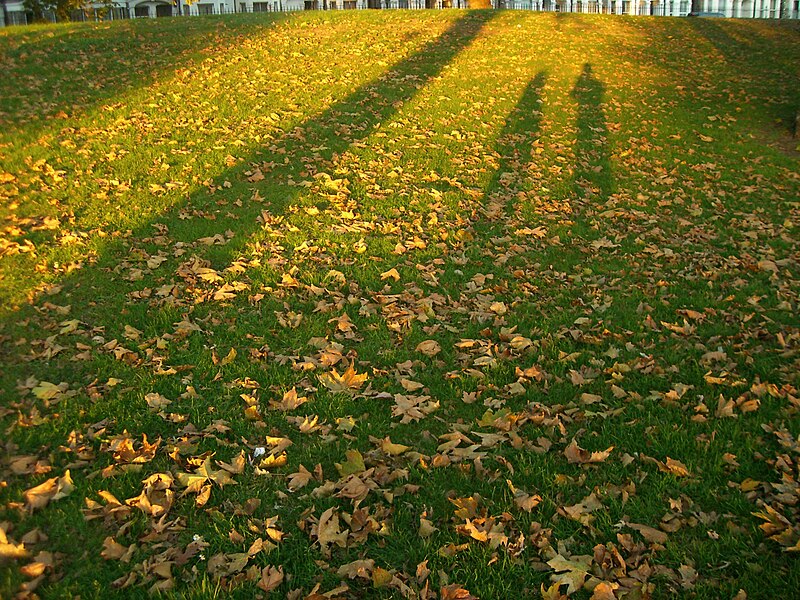 File:Southwark Park Evening Shadows.JPG