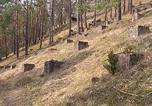 Remainders of the test construction site. Stadionmodell-Oberklausen1.jpg