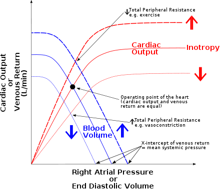 Cardiac Output Flow Chart