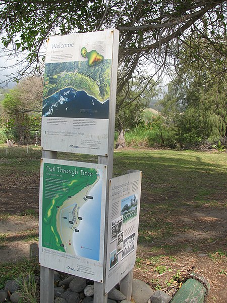 File:Starr-120412-9328-Ficus virens-habitat with preserve signs-Waihee Coastal Preserve-Maui (24511508253).jpg