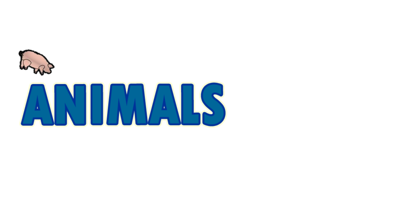 Animals