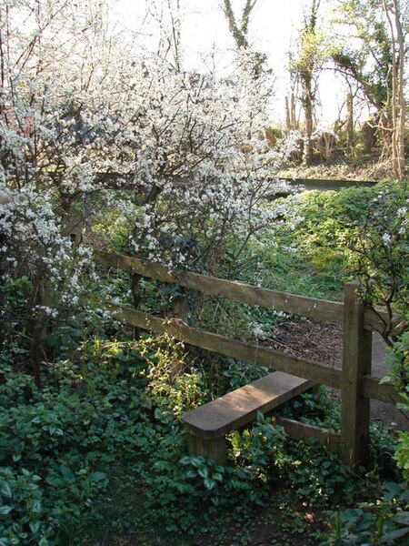 File:Stile at the end of the footpath - geograph.org.uk - 1242115.jpg