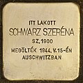 Stolperstein für Schwarz Szeréna - Szeréna Schwarz (Sárospatak).jpg