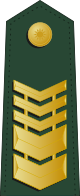 Taiwan-army-OR-9.svg
