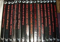 Tarzan présenté ici en 15 volumes aux éditions françaises Néo.