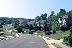 Suburban areas have seen increases in black residents. Texas Suburb.jpg