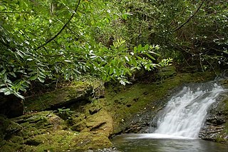 Glen River (County Down)