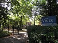 The Vines, Oxford.JPG