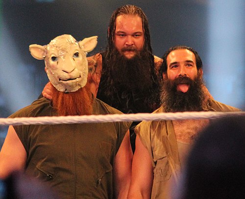 The Wyatt Family at WrestleMania XXX, with Wyatt (center) sitting on the top turnbuckle