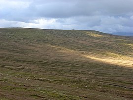 The flank of Black Fell - geograph.org.uk - 782903.jpg