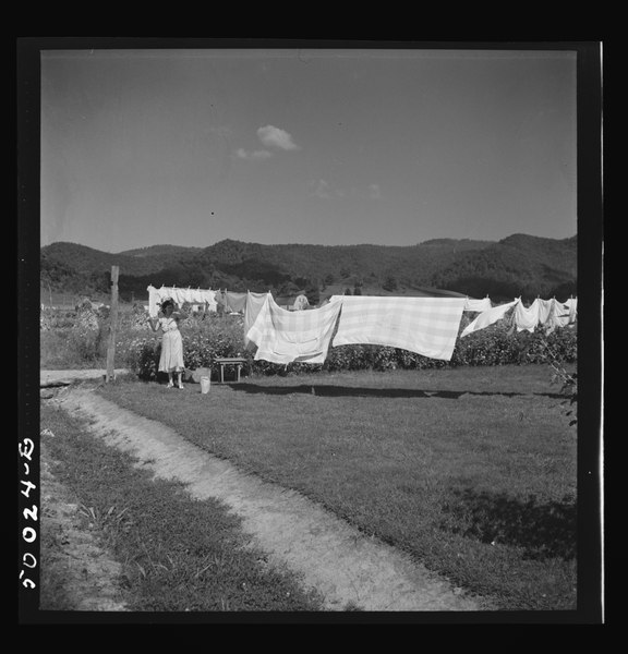 File:The wash line. Tygart Valley, West Virginia LCCN2017799284.tif