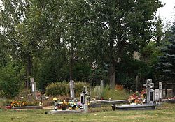 Toruń, cmentarz przy ul. Rydygiera 21 (14) (OLA Z.).JPG