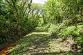 "Trackbed_of_the_Halwill_to_Launceston_Branch_-_geograph.org.uk_-_4961708.jpg" by User:GeographBot