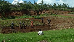 Petani di Kabuga