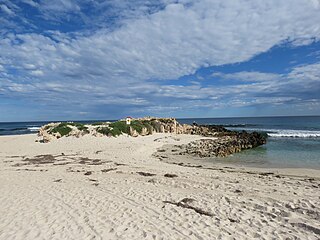 <span class="mw-page-title-main">Trigg Island</span> Location on coast of Perth, Western Australia