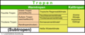 Vorschaubild der Version vom 20:55, 8. Mär. 2023