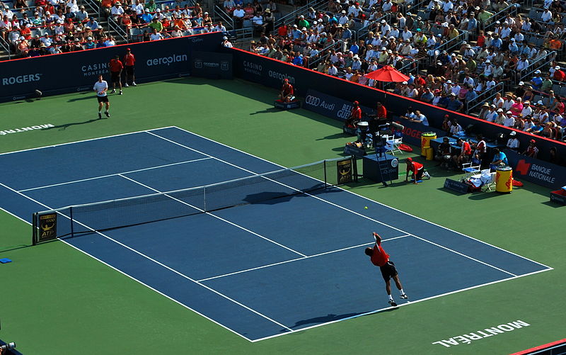 File:Tsonga's serve.jpg