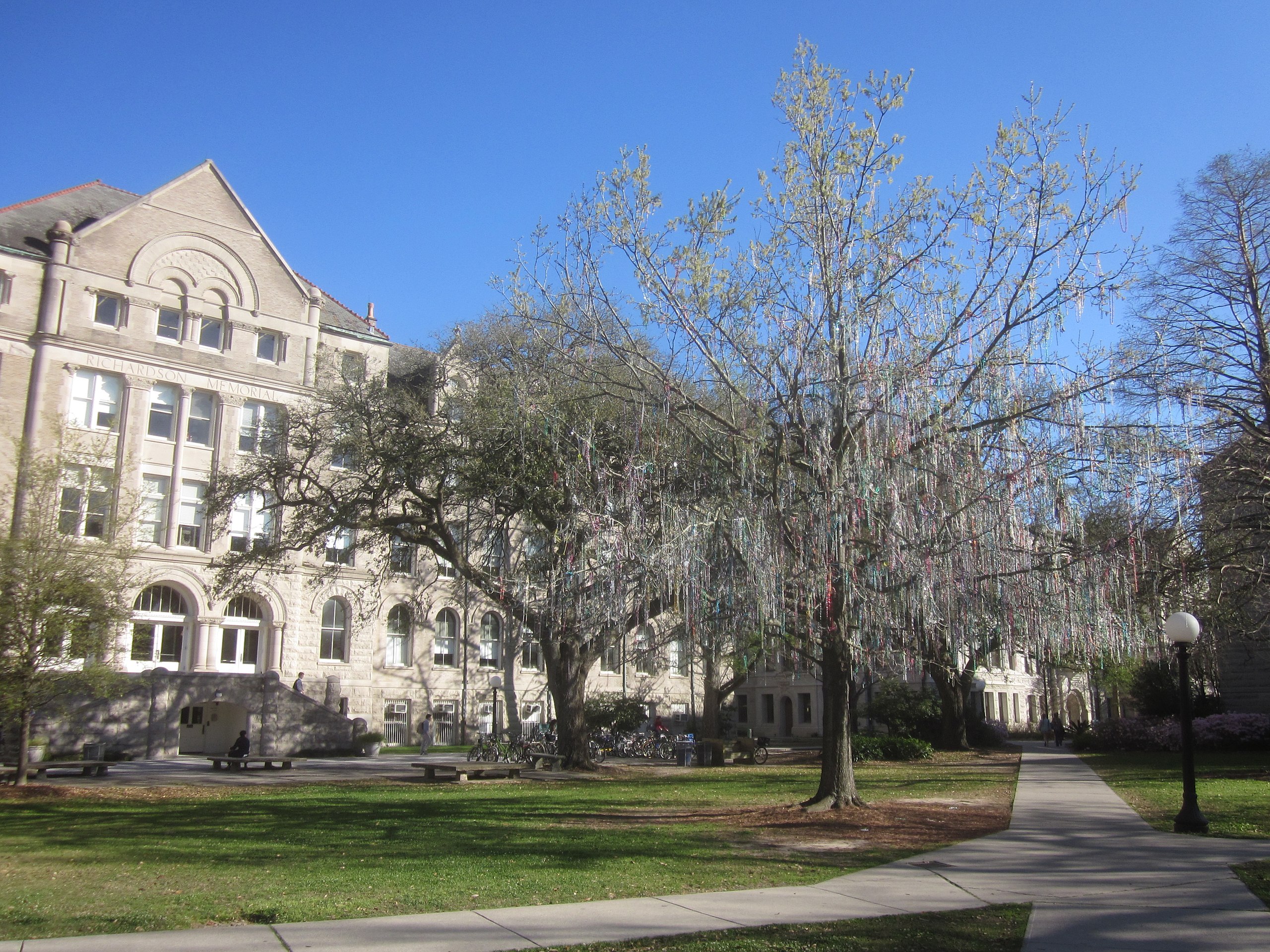 File:Mardi Gras Tree on campus (5517893265).jpg - Wikimedia Commons