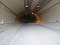 Tunnel Tradenberg