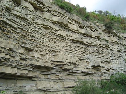 Gorgoglione Flysch, Miocene, South Italy
