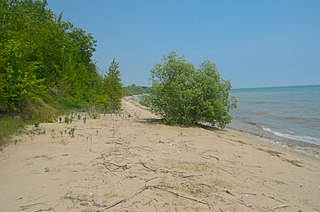 <span class="mw-page-title-main">Two Creeks Buried Forest State Natural Area</span> State Natural Area in Wisconsin