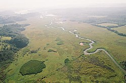 Várzea do Rio Embu-Guaçu.jpg