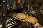 Chléb: Historie, Etymologie, Pojmy při krájení bochníku nebo pecnu chleba