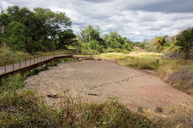 File:Valley of the Dinosaurs, Paraíba 2017 17.jpg