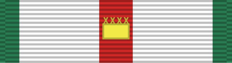 File:Vietnam Leadership Medal-Armed Forces ribbon.svg