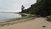 Thumbnail for File:View across towards Brickyard Creek from Beach below Inchmery House - geograph.org.uk - 3015997.jpg