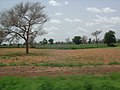 View from bus, from Banfora to Ouagadougou 11.jpg