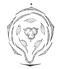 Viooltje: Gebruik, Symboliek, Soorten