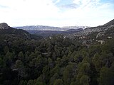 Vista de la vall de Cardó des de l'ermita de Sant Simeó.