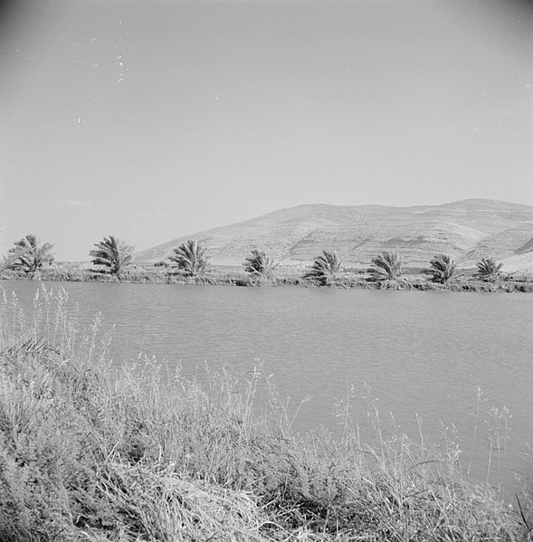 File:Visvijver met aan de oever palmbomen en op de achtergrond een gebergte, Bestanddeelnr 255-2861.jpg